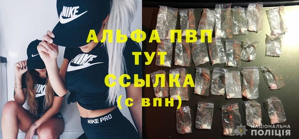не бодяженный Бородино
