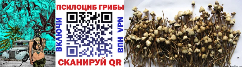 дарк нет формула Оренбург Псилоцибиновые грибы мицелий